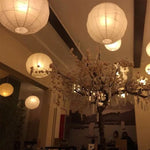 Lanterne boule papier japonaise salon